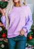 Sequin Round Neck Long Sleeve Sweatshirt