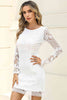 Round Neck Long Sleeve Lace Dress