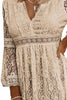 Lace V-Neck Three-Quarter Sleeve Dress