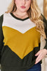 Hailey & Co Full Size Colorblock V-Neck Blouse